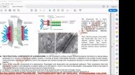 Plasma Membrane (Junctions) Lecture 3
