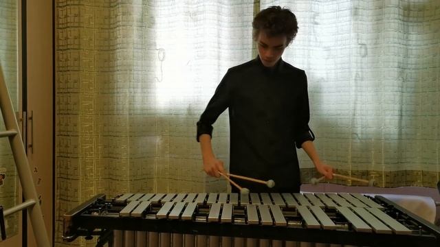 Зимин Лев играет на виброфоне Almost blues