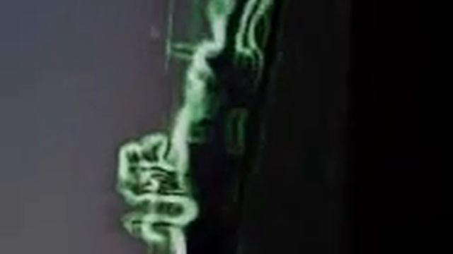 Danio.mp4