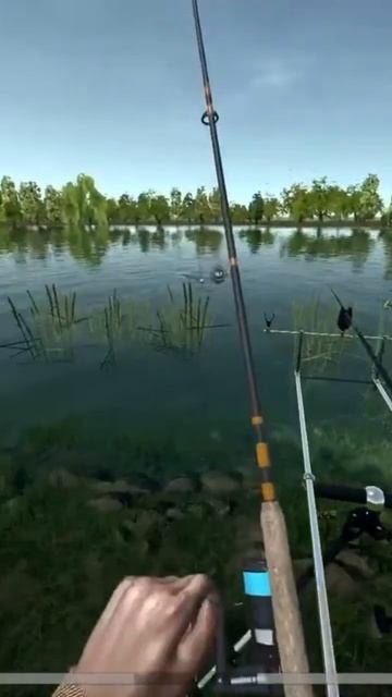 #fishing #carpfishing #рыбалка #симуляторрыбалки