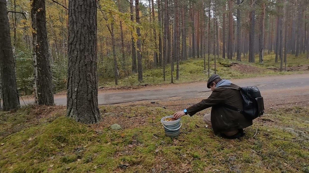 Сергей РАzoom Фокин, Николай Клименко и другие. 26.9.2021 год. Сосново - 5.