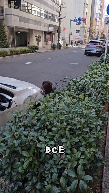 Продаю машину из-за ТО, Часть 2