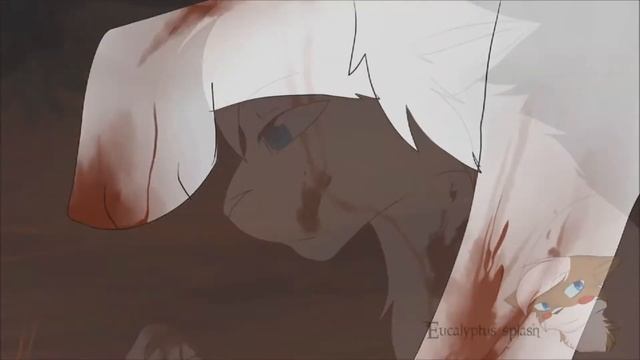 (Warriors cat)~Tag you're it