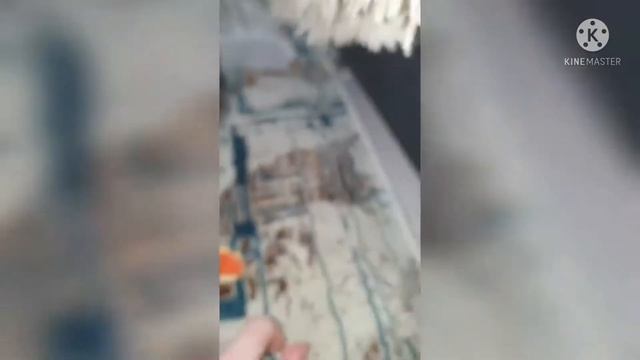 ПУМА в шоке 🤯