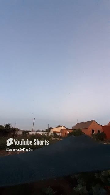 ВОЗДУШНАЯ АТАКА СТРЕКОЗ!!Shorts