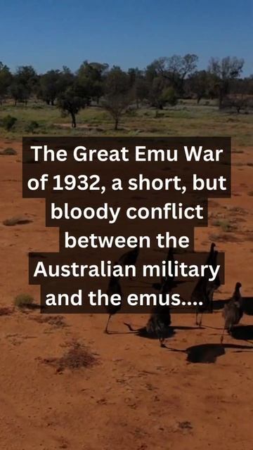 When Emus Strike Back: The Epic Battle of 1932 #shorts #history