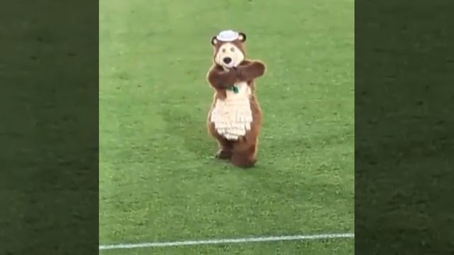 Медведь танцует лезгинку!!!