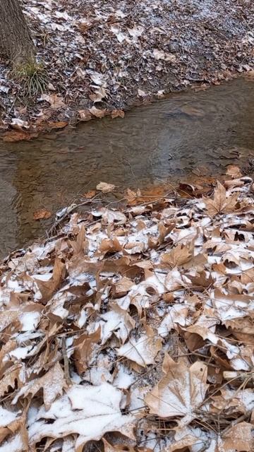 07.02.2025 #сегоднятак #сегодня #природа #nature #oggicosì #бүгін #oggi #hoy #今日 #today #오늘 #자연 #自然