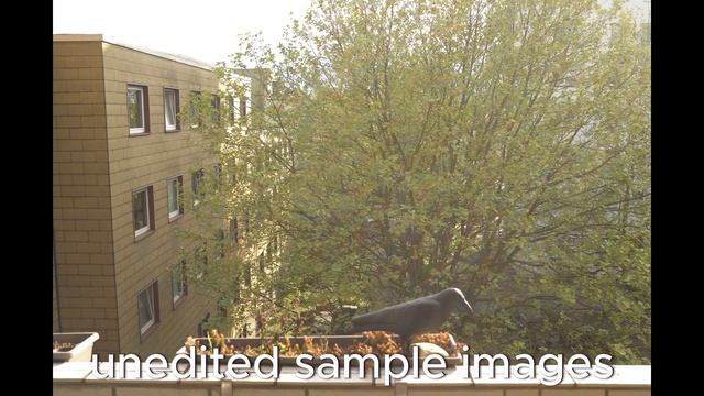 Leica X2 camera test with sample images in 2024