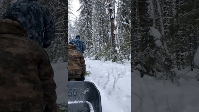 Катаемся в лесу - . DenBan4