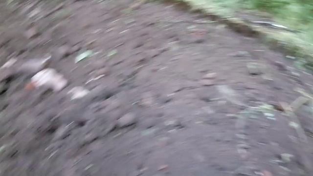 шурф старой мельницы часть 3 ( продолжаем поиск)