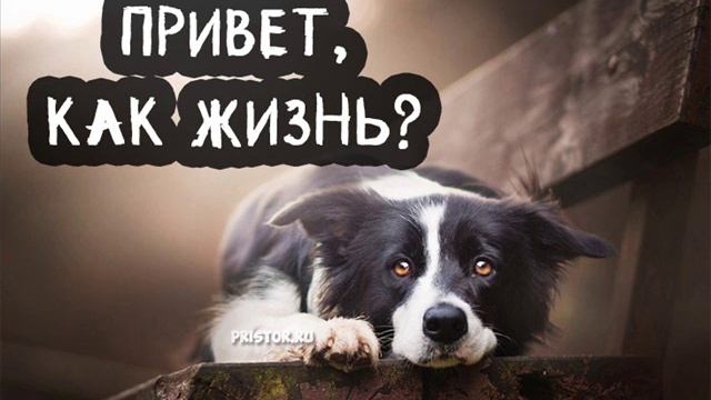 Песня - КАК ЖИВЕШЬ