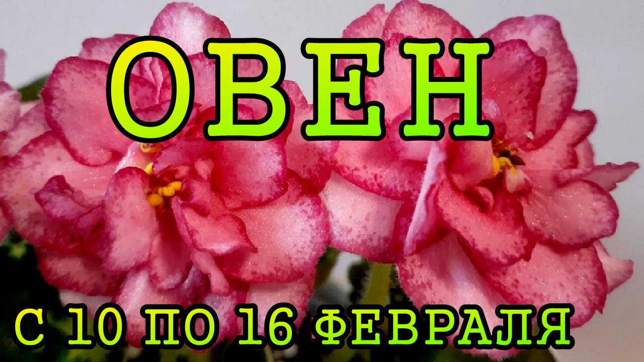 ОВЕН таро прогноз на неделю с 10 по 16 ФЕВРАЛЯ 2025 года.