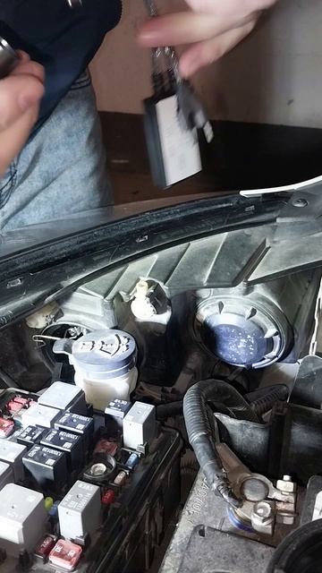 MTF H7 в chevrolet malibu 8 не подошли
