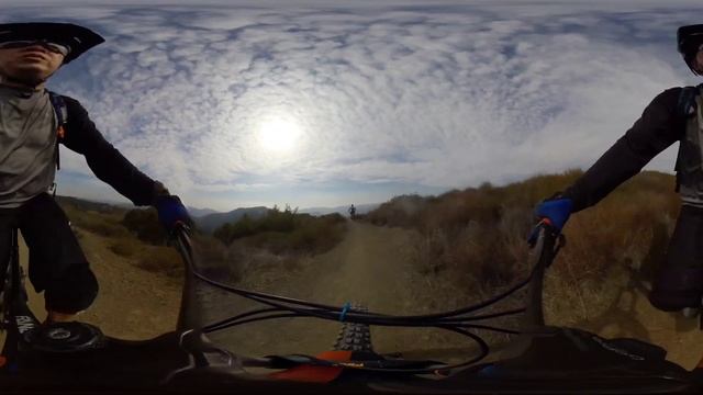 Scorpion Trail 5