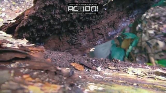 Cronicas de un bicitante - Cap 1