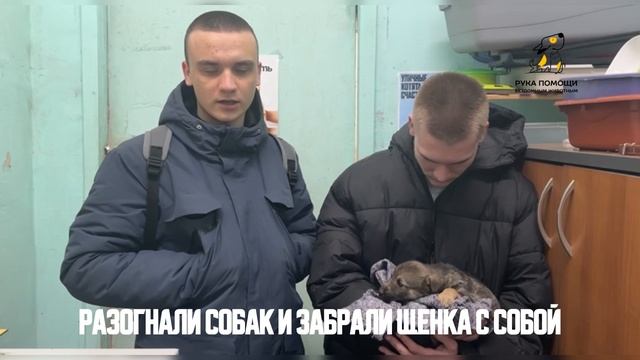 Анике повезло встретить неравнодушных людей. Поддержать ⬇️