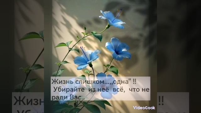 07-02-2025 ЛВЕ