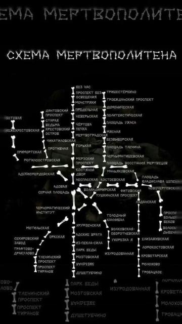 Интересное решение схемы СПб метрополитена
