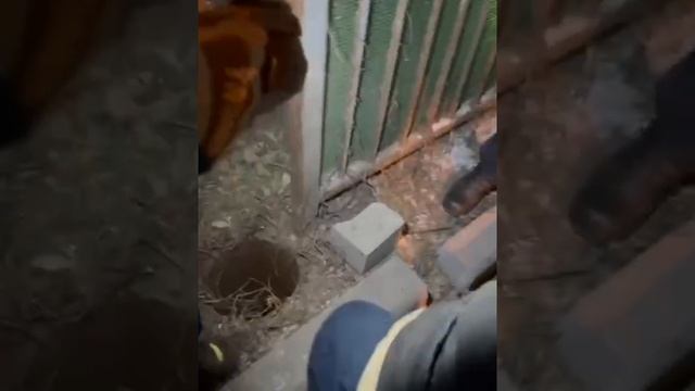 🐈На улице Электрозаводская котейка провалился в технологической отверстие🐈