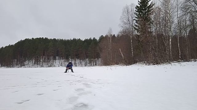 Наловил👍 красивых окуней.