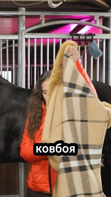 Шляпа и сомбреро для Валентина Шишкина. Как мы готовились к прогулке на коне?