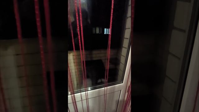 1000264717.mp4