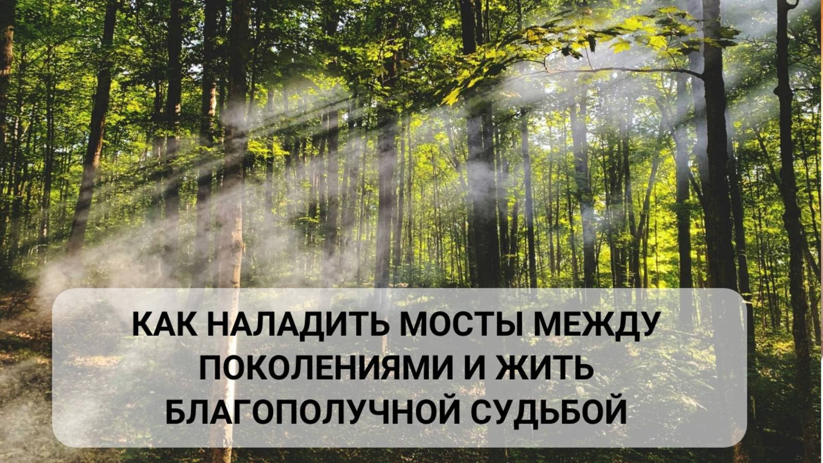 Как наладить мосты между поколениями и жить благополучной судьбой? Духовные Родовые практики.