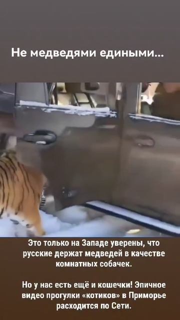 1000293148.mp4