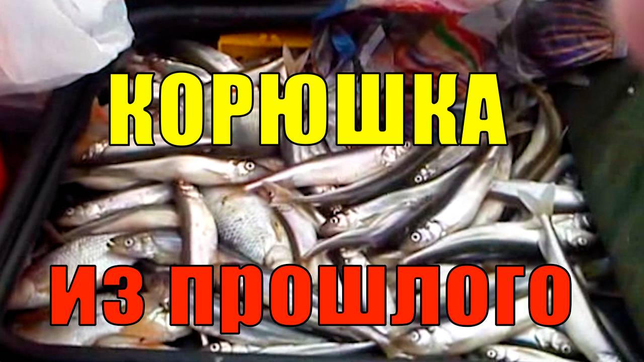 Корюшка из прошлого