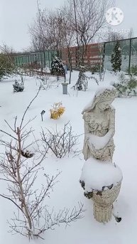 Крым, февраль, снег #Shorts