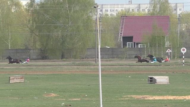 5 Раменский ипподром 27.04.19 - Лошади рожд. 2016г. рысистых пород
