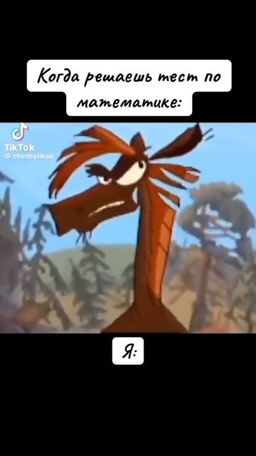 когда решаешь тест по математике