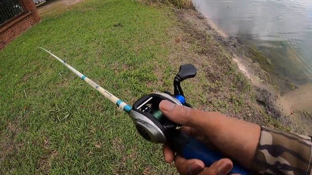 The Bass DEMOLISHED This Crankbait!!! (Best Day Of Bass Fishing)
