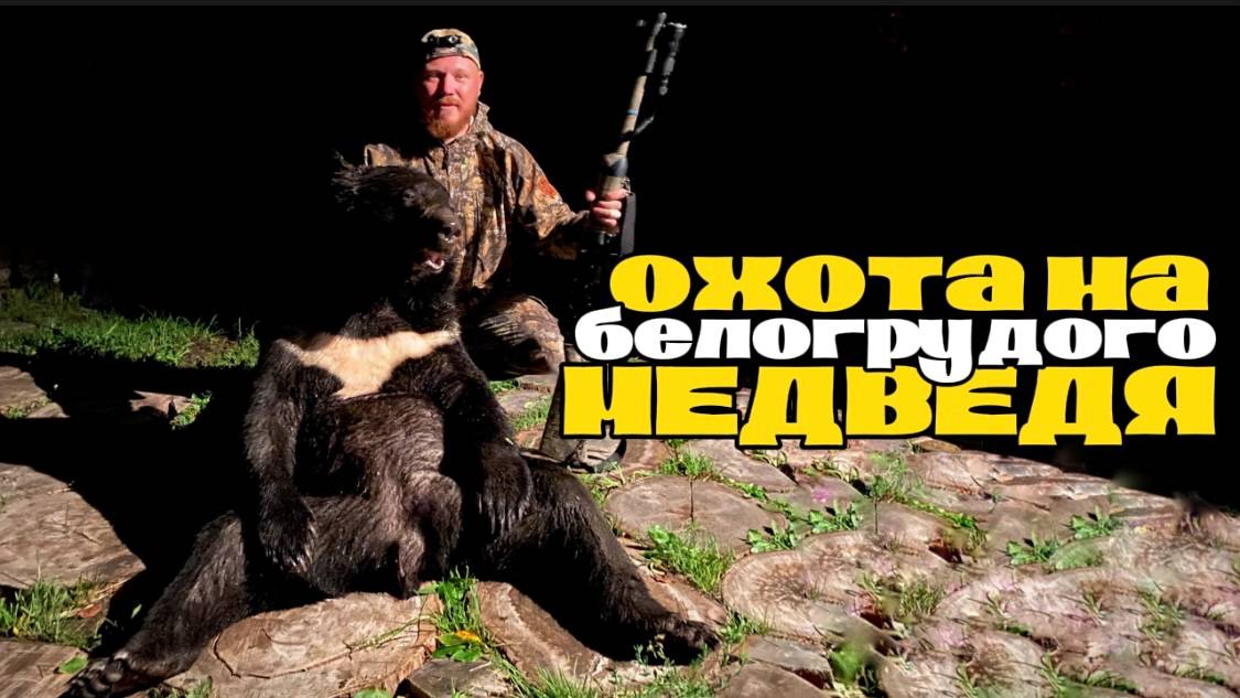охота на БЕЛОГРУДОГО МЕДВЕДЯ. охота на ГИМАЛАЙСКОГО МЕДВЕДЯ в Приморском крае. Ночная охота.