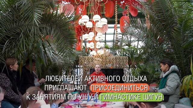 «Китайский Новый год в Москве»: чайные традиции на Тверской площади