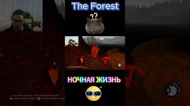 НОЧЬНОЙ ЖОР