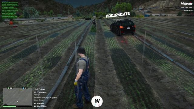 БАГ НА ФЕРМЕ - МЕНЯ НЕ ВИДНО | РОЗЫГРЫШ МАШИНЫ | ЛЕТНИЙ ФЕСТИВАЛЬ GTA 5 RP MAJESTIC Dallas