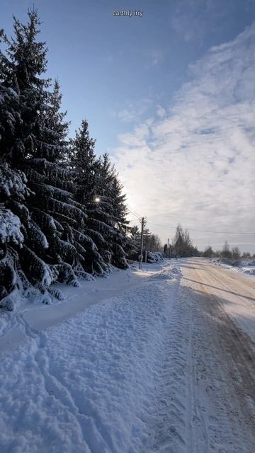 Снова зима в Поозерье #земнойирий #поозерье #озёрныйкрай #природа