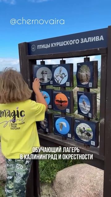 Калининград с #chernova_trip 1-7 июля, подробнее в описании