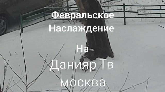 региональные заставки данияр тв 02-28.02.2025 01-28.02.2026