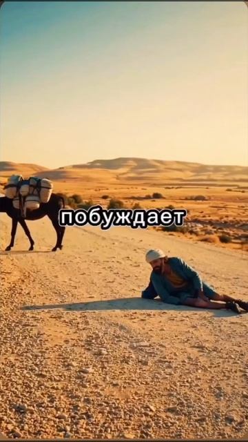 Покаяние