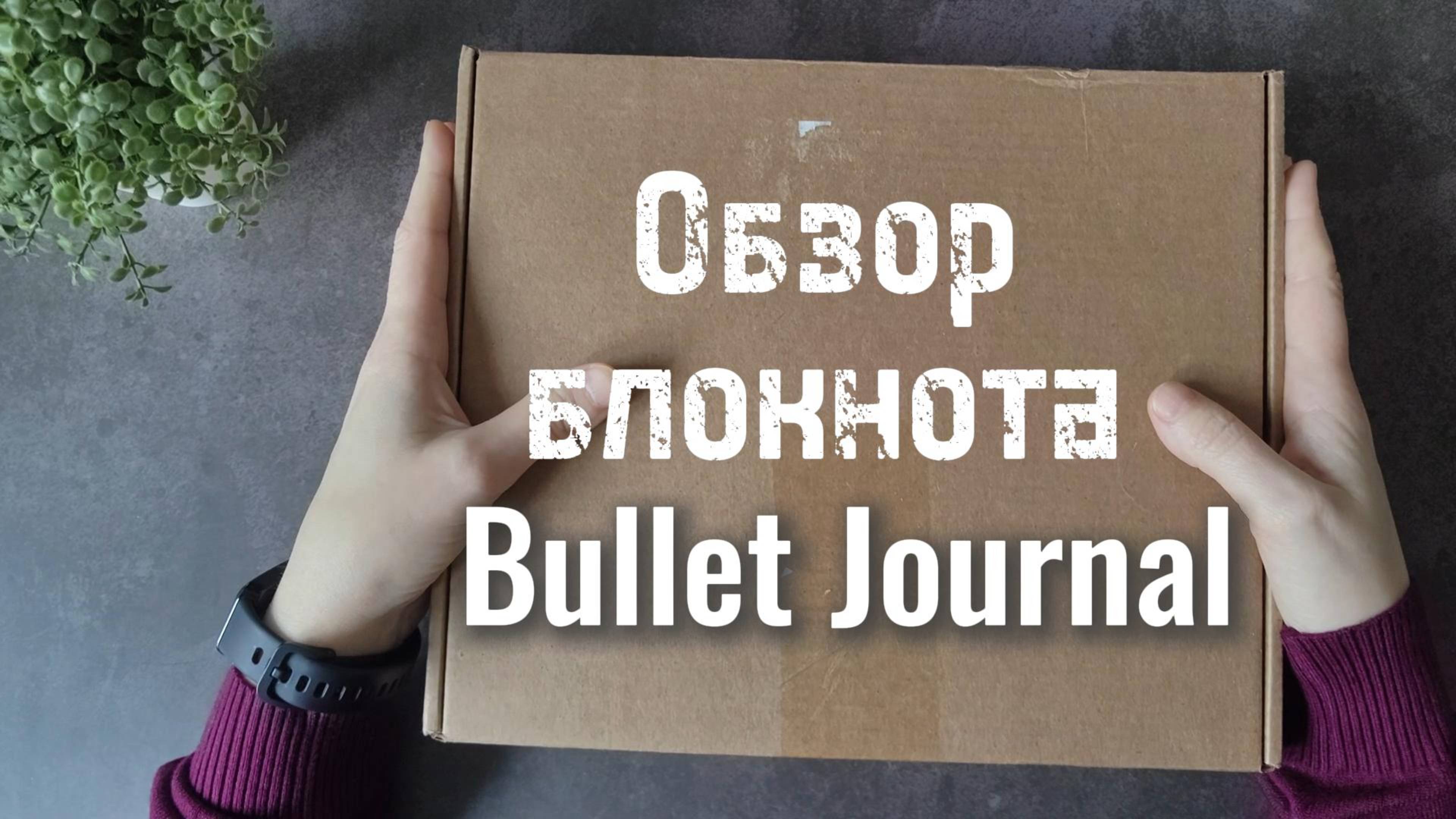 Обзор блокнотов 200+ страниц для #bulletjournal 📖