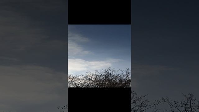 7.02.2025. молодой ленинаканчик. второе пробное соло.