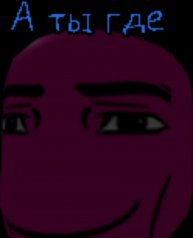 бу стрим на телефоне и котик на стриме