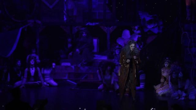 Delaney O'Toole - Memory (Cats)