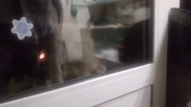 Млем