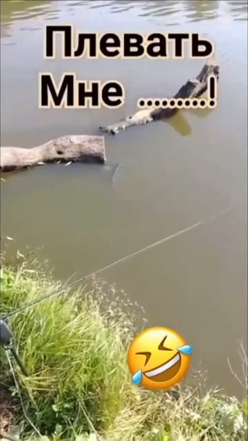 юмор