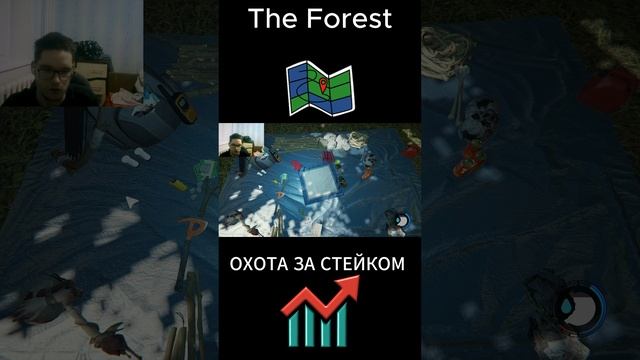 СТЕЙКИ