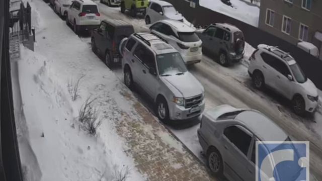 Жители: в элитном жилом комплексе Южно-Сахалинска завелись «поросята», часть 2